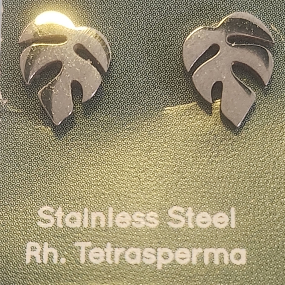 Stainless steel earrings